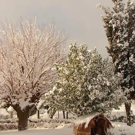 בית כפרי Airone House