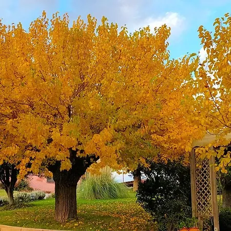 Landhaus Airone House Osimo