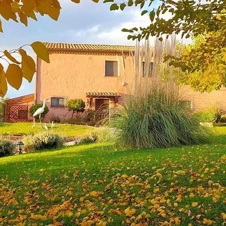 Airone House * Osimo