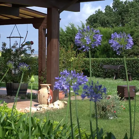 Airone House * Osimo