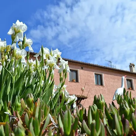 Airone House