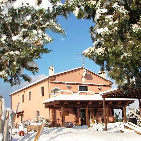 Airone House