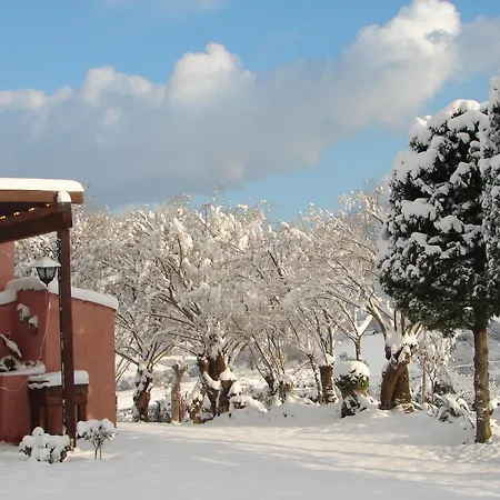 Airone House Gospodarstwo wiejskie *