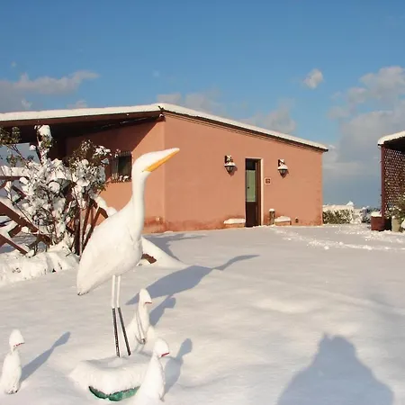 Airone House * Osimo