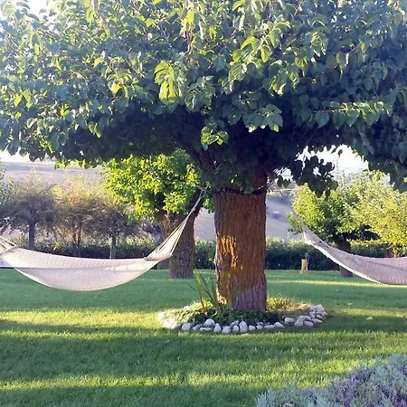 Airone House *